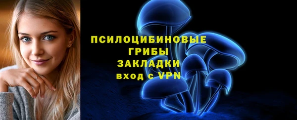 героин Алзамай
