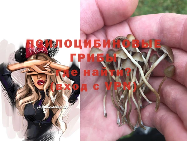 героин Алзамай
