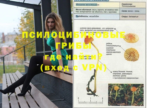 героин Алзамай