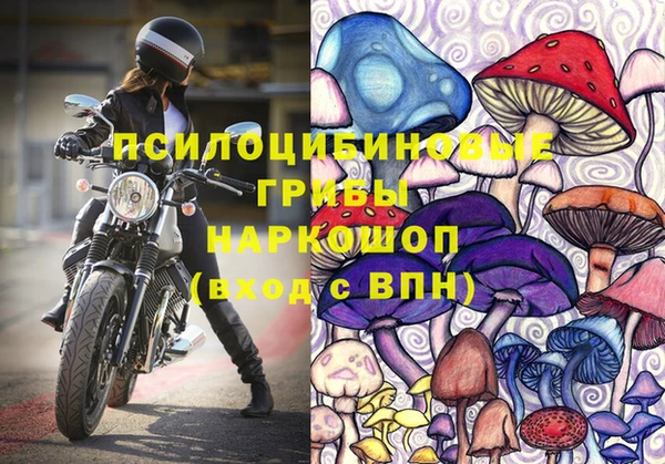сатива Алексеевка