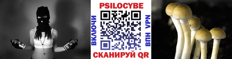 где можно купить наркотик Евпатория Галлюциногенные грибы MAGIC MUSHROOMS